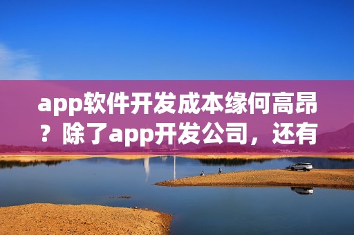 app软件开发成本缘何高昂？除了app开发公司，还有没有其他app开发方式？