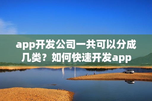 app开发公司一共可以分成几类?如何快速开发app app开发公司一共可以分成几类?如何快速开发app