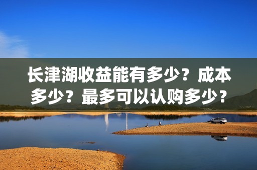 长津湖收益能有多少？成本多少？最多可以认购多少？(长津湖会亏本吗)