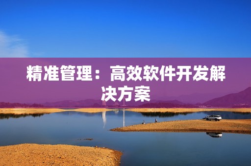 精准管理：高效软件开发解决方案