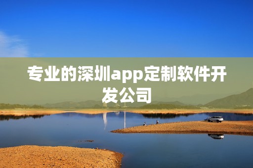 专业的深圳app定制软件开发公司