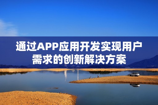 通过APP应用开发实现用户需求的创新解决方案
