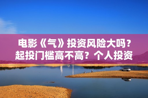 电影《气》投资风险大吗？起投门槛高不高？个人投资赚钱啊？