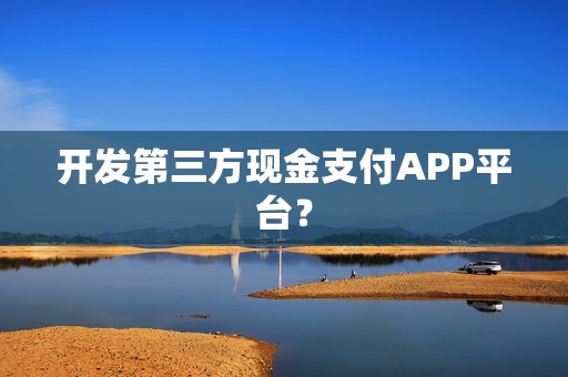 开发第三方现金支付APP平台？