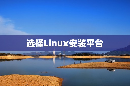 选择Linux安装平台
