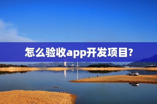 怎么验收app开发项目?