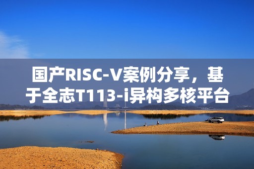 国产RISC-V案例分享，基于全志T113-i异构多核平台！