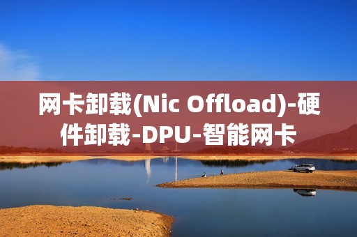 网卡卸载(Nic Offload)-硬件卸载-DPU-智能网卡