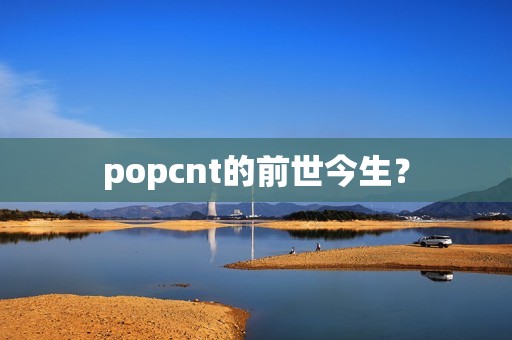 popcnt的前世今生？
