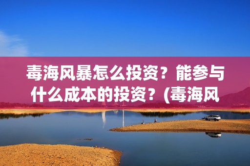 毒海风暴怎么投资？能参与什么成本的投资？(毒海风暴有哪几家拍摄)