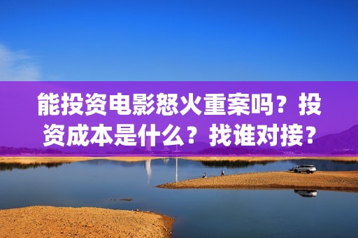 能投资电影怒火重案吗？投资成本是什么？找谁对接？(怒火电影怎么样)
