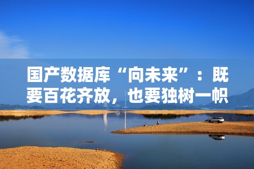 国产数据库“向未来”：既要百花齐放，也要独树一帜