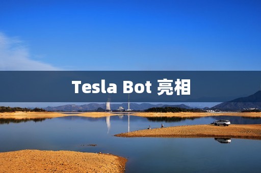 Tesla Bot 亮相