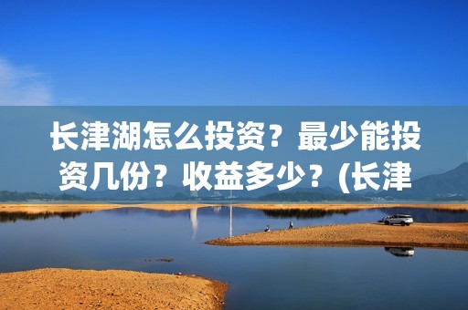 长津湖怎么投资？最少能投资几份？收益多少？(长津湖怎么参与投资)