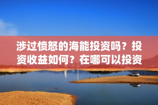 涉过愤怒的海能投资吗？投资收益如何？在哪可以投资？(涉过愤怒的海小说)