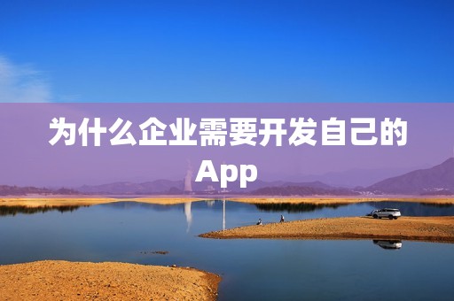 为什么企业需要开发自己的App