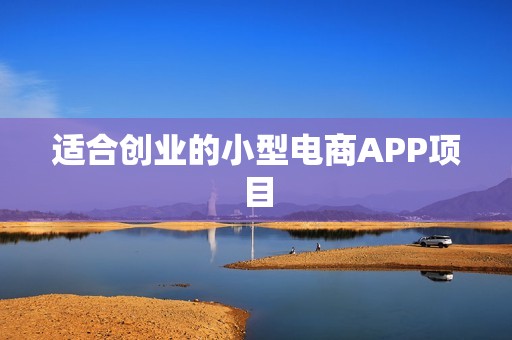适合创业的小型电商APP项目