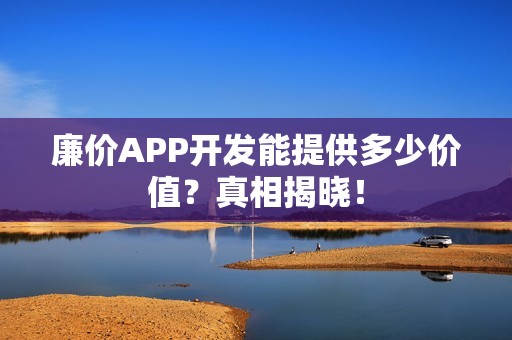 廉价APP开发能提供多少价值？真相揭晓！