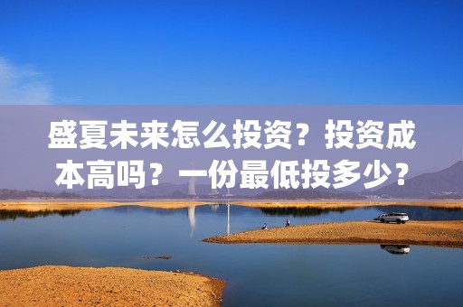 盛夏未来怎么投资？投资成本高吗？一份最低投多少？(盛夏未来怎么了)