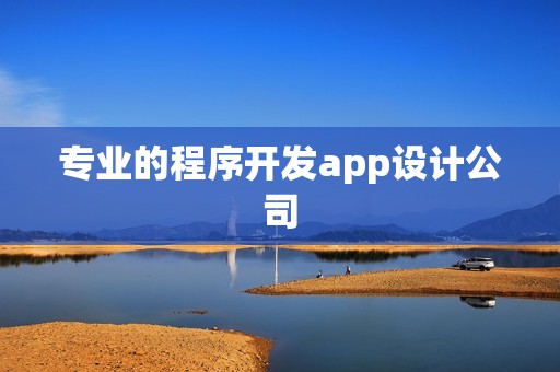 专业的程序开发app设计公司