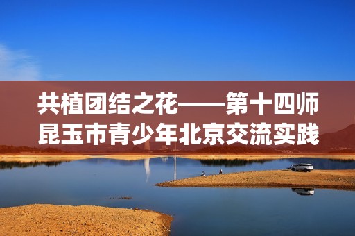 共植团结之花——第十四师昆玉市青少年北京交流实践活动(团结之花美丽绽放)