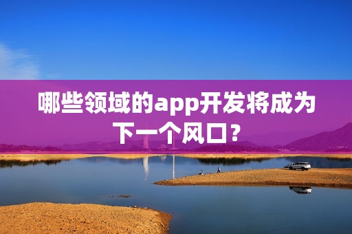 哪些领域的app开发将成为下一个风口？