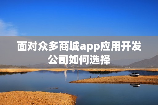 面对众多商城app应用开发公司如何选择