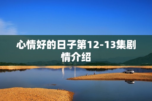 心情好的日子第12-13集剧情介绍