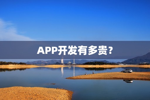 APP开发有多贵？