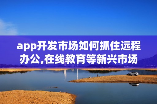 app开发市场如何抓住远程办公,在线教育等新兴市场机遇?