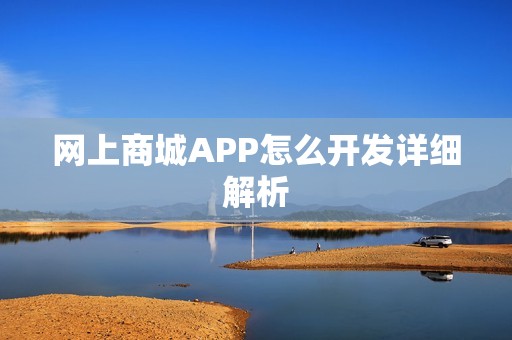 网上商城APP怎么开发详细解析