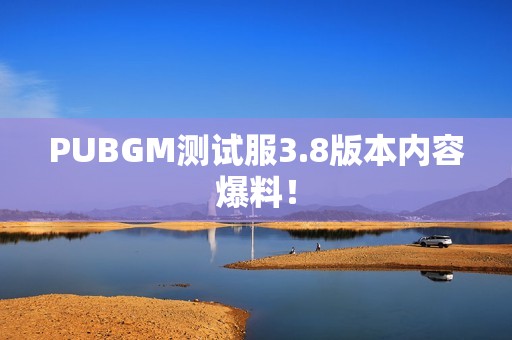 PUBGM测试服3.8版本内容爆料！