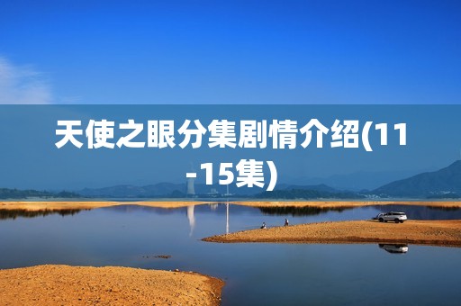 天使之眼分集剧情介绍(11-15集)