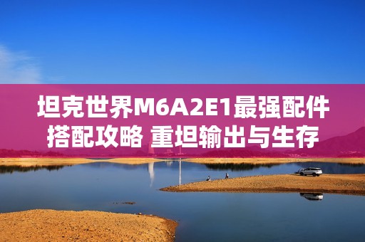 坦克世界M6A2E1最强配件搭配攻略 重坦输出与生存技巧解析