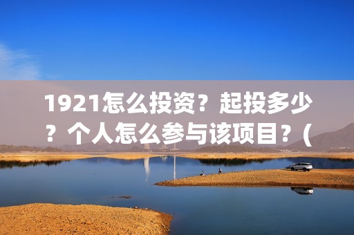 1921怎么投资？起投多少？个人怎么参与该项目？(1921的投资方)