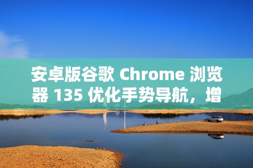 安卓版谷歌 Chrome 浏览器 135 优化手势导航，增强全屏沉浸感