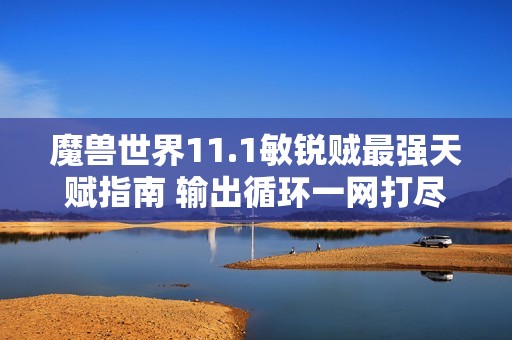 魔兽世界11.1敏锐贼最强天赋指南 输出循环一网打尽