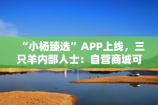 “小杨臻选”APP上线，三只羊内部人士：自营商城可更好地服务消费者，复播正准备中