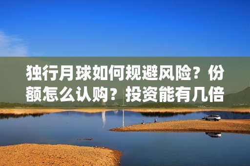 独行月球如何规避风险？份额怎么认购？投资能有几倍的回报率？(《独行月球》)