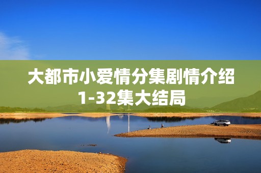 大都市小爱情分集剧情介绍1-32集大结局