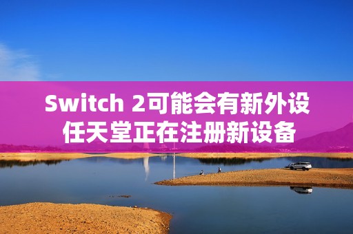 Switch 2可能会有新外设 任天堂正在注册新设备
