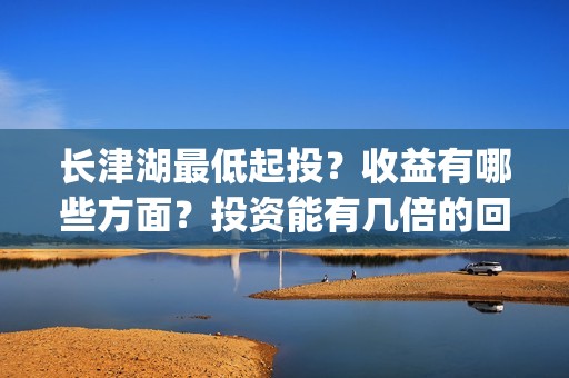 长津湖最低起投？收益有哪些方面？投资能有几倍的回报率？(长津湖2021tc)
