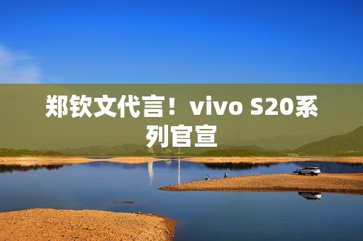 郑钦文代言！vivo S20系列官宣