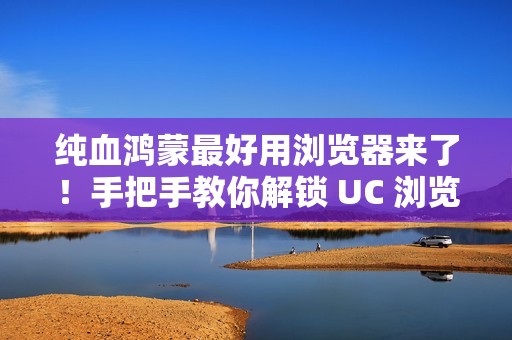 纯血鸿蒙最好用浏览器来了！手把手教你解锁 UC 浏览器（文中有惊喜）