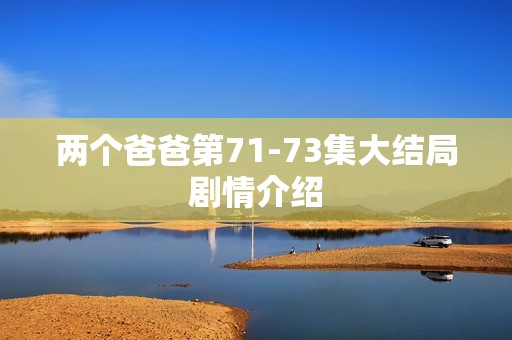 两个爸爸第71-73集大结局剧情介绍