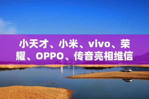 小天才、小米、vivo、荣耀、OPPO、传音亮相维信诺 F1 屏幕发光材料体系发布仪式