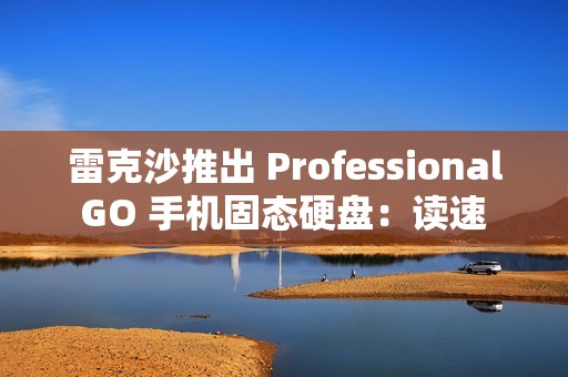 雷克沙推出 Professional GO 手机固态硬盘：读速 1050MB/s，999 元起