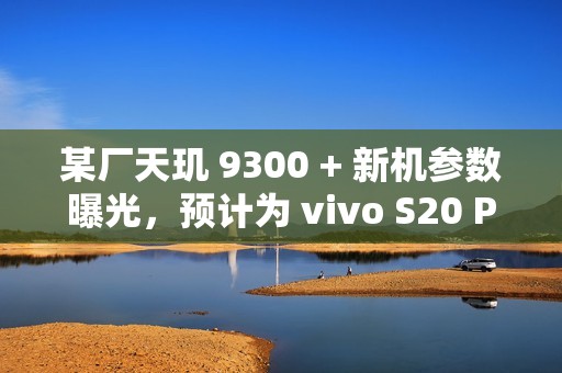 某厂天玑 9300 + 新机参数曝光，预计为 vivo S20 Pro