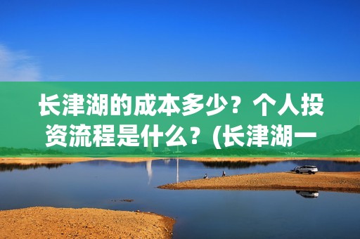 长津湖的成本多少？个人投资流程是什么？(长津湖一共投资多少钱)
