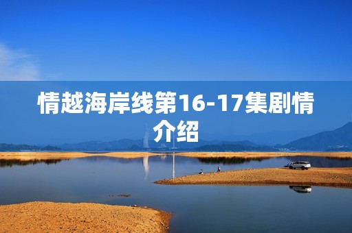 情越海岸线第16-17集剧情介绍